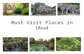 Must Visit Places in Ubud