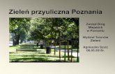 Zieleń przyuliczna Poznania - A.Szulc ZDM