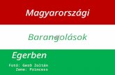 Barangolások magyarországon egerben