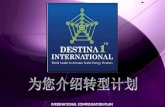 Mandarin - D1 International Marketing Plan Presentation ( INTERNATIONAL )