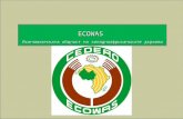 01.04 - Стефан Игнатов - ECOWAS
