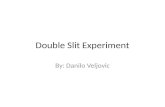 The Double Slit Experiment by Danilo Veljovic