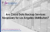Are Cloud Data Backup Services Necessary for Los Angeles Distributors? (SlideShare)