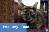 Pro Dry Food, by Grinning Cat Siiters