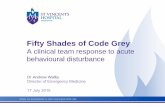 Dr Andrew Walby - St Vincent's Hospital Melbourne - Fifty Shades of Code Grey