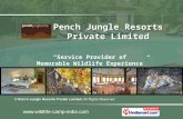 Wild Life Tour Package by Pench Jungle Resorts Private Limited, New Delhi
