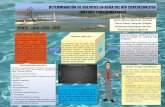 Cartel: Determinación de sulfatos en agua de río