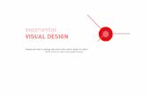 Experiential Visual Design - Qualitative Research