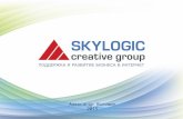 Семинар Skylogic "Увеличение продаж с помощью Интернет"