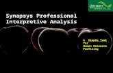 SYNAPSYS Professional Profiling System for College Students