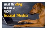 What my dog taught me about social media