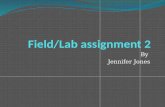 Field lab assignment 2