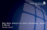 Analytics with Cassandra, Spark & MLLib - Cassandra Essentials Day