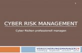 Cyber risk