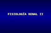 Fisiología renal II -final 4