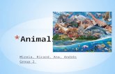 Animals' Presentation G2