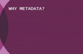 Why metadata (English version)