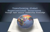 Transforming Global Organizational Structures