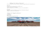 What is auto steer