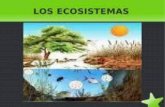 Presentacion ecosistemas (1)