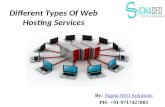 Different types of web Hosting Services,Web hosting gurgaon, web hosting company Delhi, web hosting service Delhi, Best Web Hosting company in Delhi NCR, Unlimited Web Hosting, web