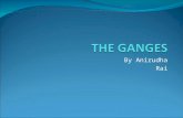 THE GANGES