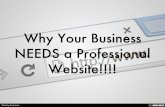 Why Your Business NEEDS a Professional Website!!!!