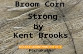 Broom corn strong