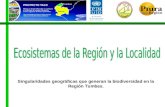 Ecosistemas de la Region y la Localidad -Tumbes