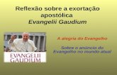 Esta Reflexao sobre a  exortacao-apostolica-evangelii-gaudium é um convite a vivermos em profundidade nossa vocação.