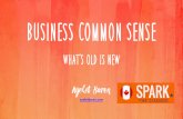 Spark 2015 - Business Common Sense by Ayelet Baron