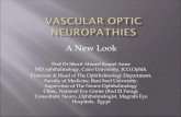 Ueda2015 vascular optic neuropathies dr.sherif kamel