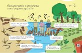 Cartilha MP: Recuperando a Natureza com o Pequeno Agricultor