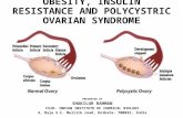 OBESITY, INSULIN RESISTANCE AND POLYCYSTRIC OVARIAN SYNDROME