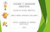 Riesgos laborales higiene y seguridad industrial