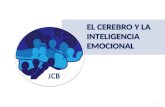 9 el cerebro y la inteligencia emocional