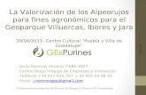 La Valorización de los alpeorujos para fines agronómicos en el Geoparque Villuercas- Ibores-Jara.Jesús Ramírez Moreno. Gexpurines