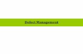 Mt s13 defect_management