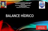 Balance hídrico y desequilibrio Hidroelectrolitico en Pediatria