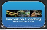 Innovation coaching r18072012 copy 1