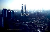 50 Command Prompt Linux