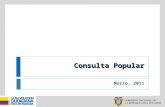 Enlace Ciudadano Nro 212 tema: Preguntas consulta última versión