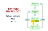 02. thyroid physiology