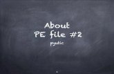 About PE File #2