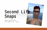 Second life snaps