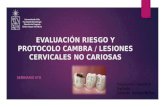 SEMINARIO N°8 Evaluación riesgo y protocolo cambra
