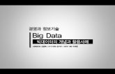 2015 경영과 정보기술 - 빅데이터(Big Data)