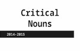 Jc critical nouns 2014 2015 (1)
