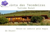 Quinta das Tecedeiras - Turismo rural no Douro