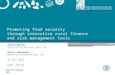Promoting food security through innovative rural finance and risk management tools
